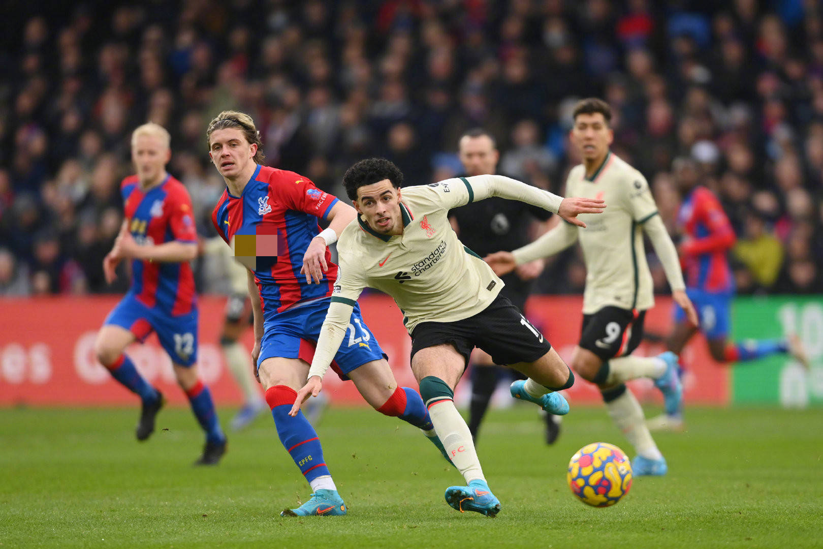 的迷雾中 的迷雾中